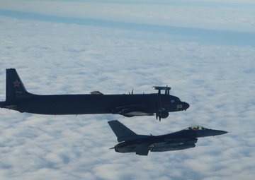 Operation Noble Eagle