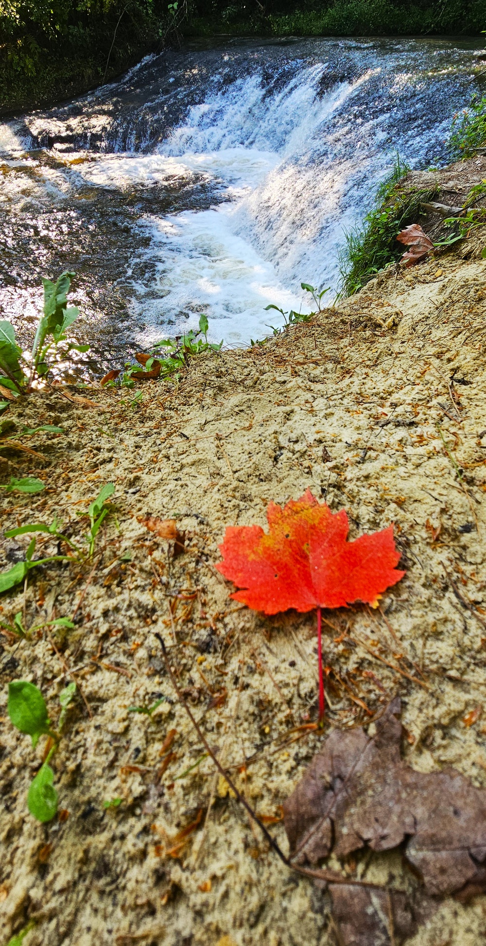 Try a 2024 fall stop at Fort McCoy’s Pine View Campground, Pine View Recreation Area