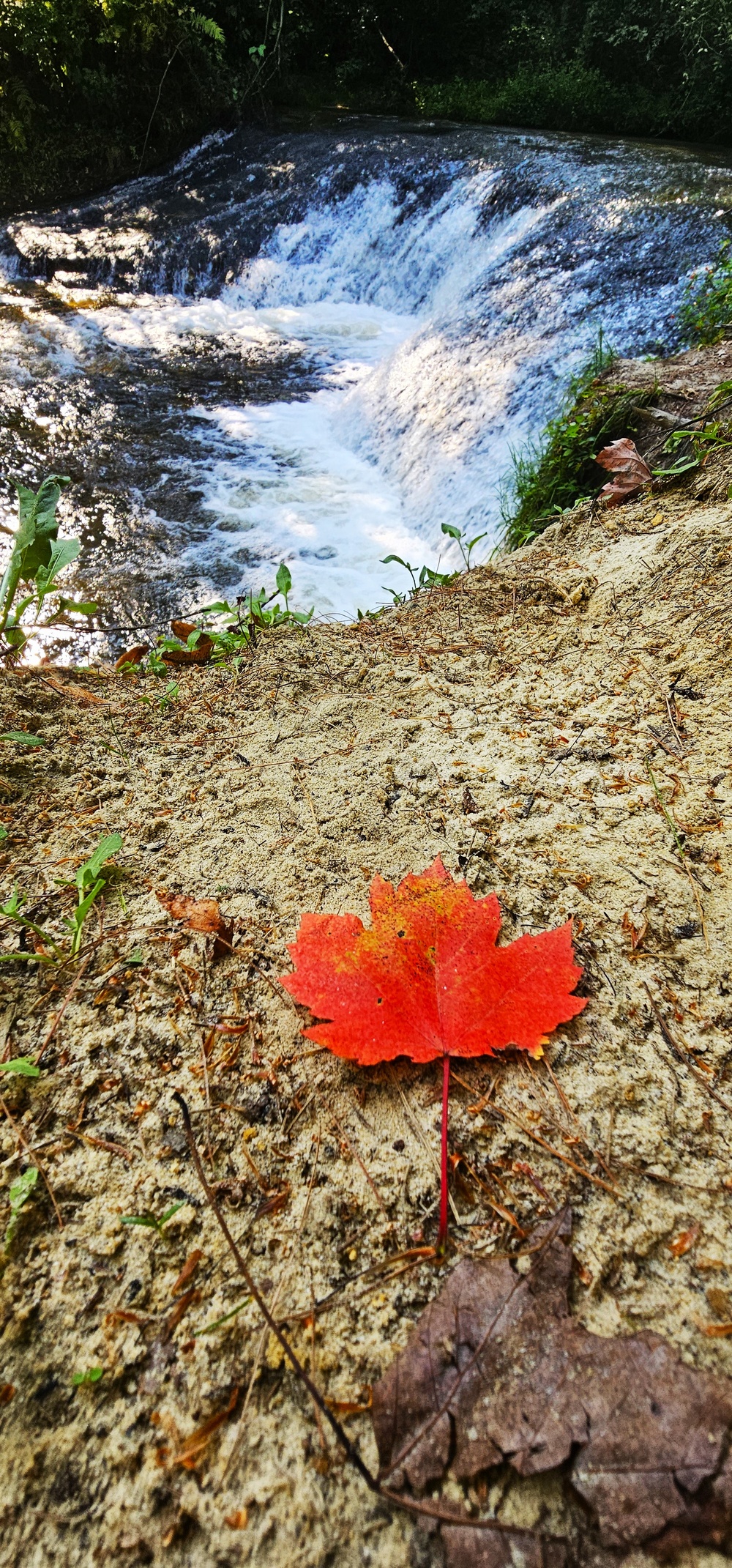 Try a 2024 fall stop at Fort McCoy’s Pine View Campground, Pine View Recreation Area