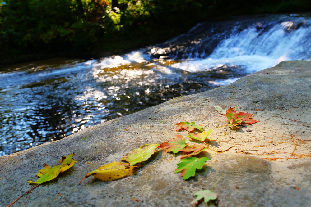 Try a 2024 fall stop at Fort McCoy’s Pine View Campground, Pine View Recreation Area