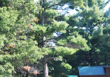 Try a 2024 fall stop at Fort McCoy’s Pine View Campground, Pine View Recreation Area