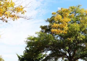 Try a 2024 fall stop at Fort McCoy’s Pine View Campground, Pine View Recreation Area