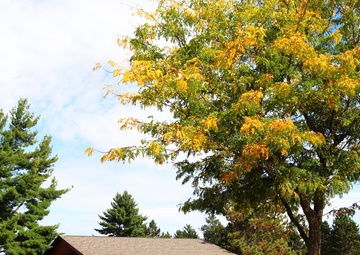 Try a 2024 fall stop at Fort McCoy’s Pine View Campground, Pine View Recreation Area