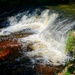 Fort McCoy's Trout Falls in Pine View Recreation Area