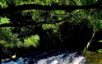 Photo Essay: Fort McCoy's Trout Falls in Pine View Recreation Area