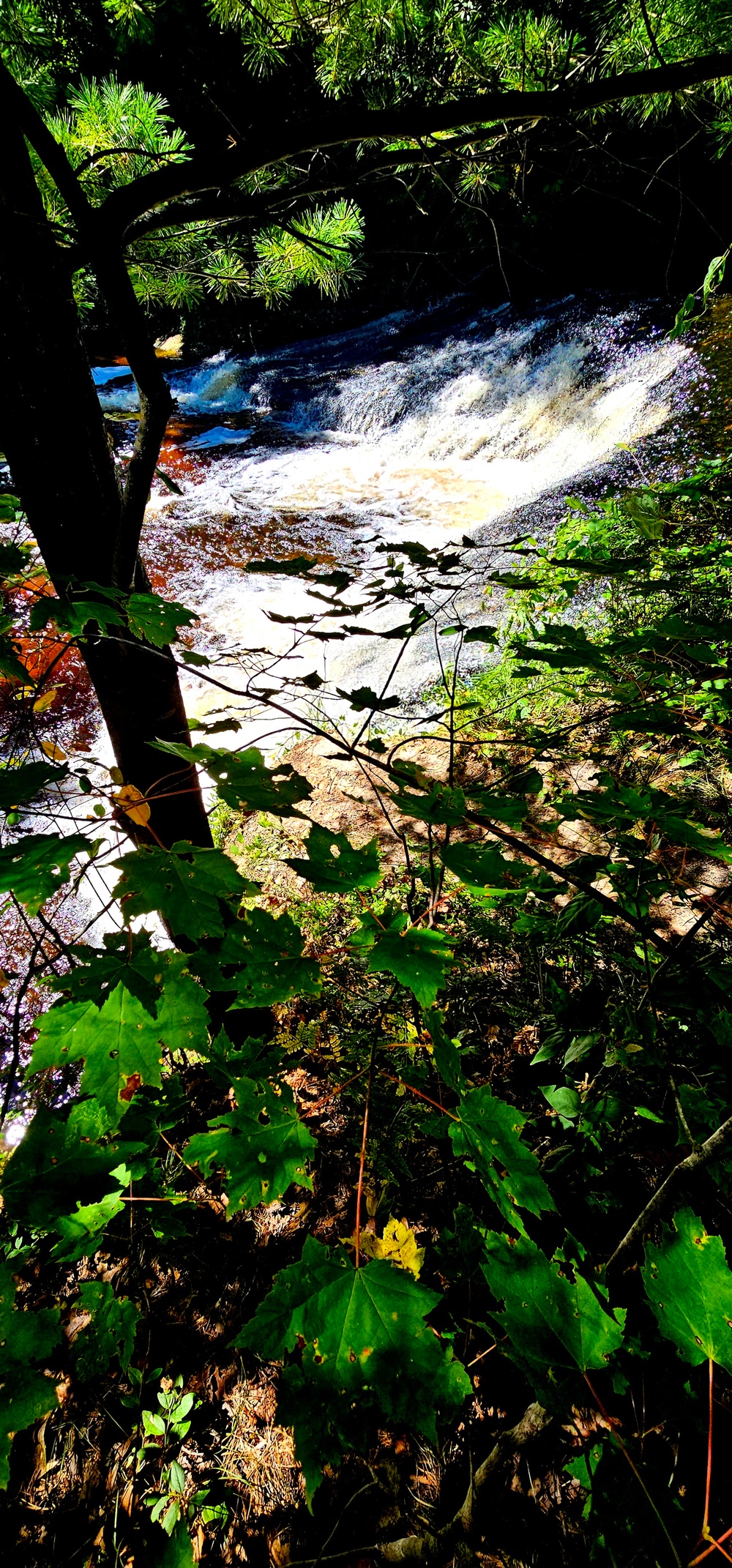 Fort McCoy's Trout Falls in Pine View Recreation Area