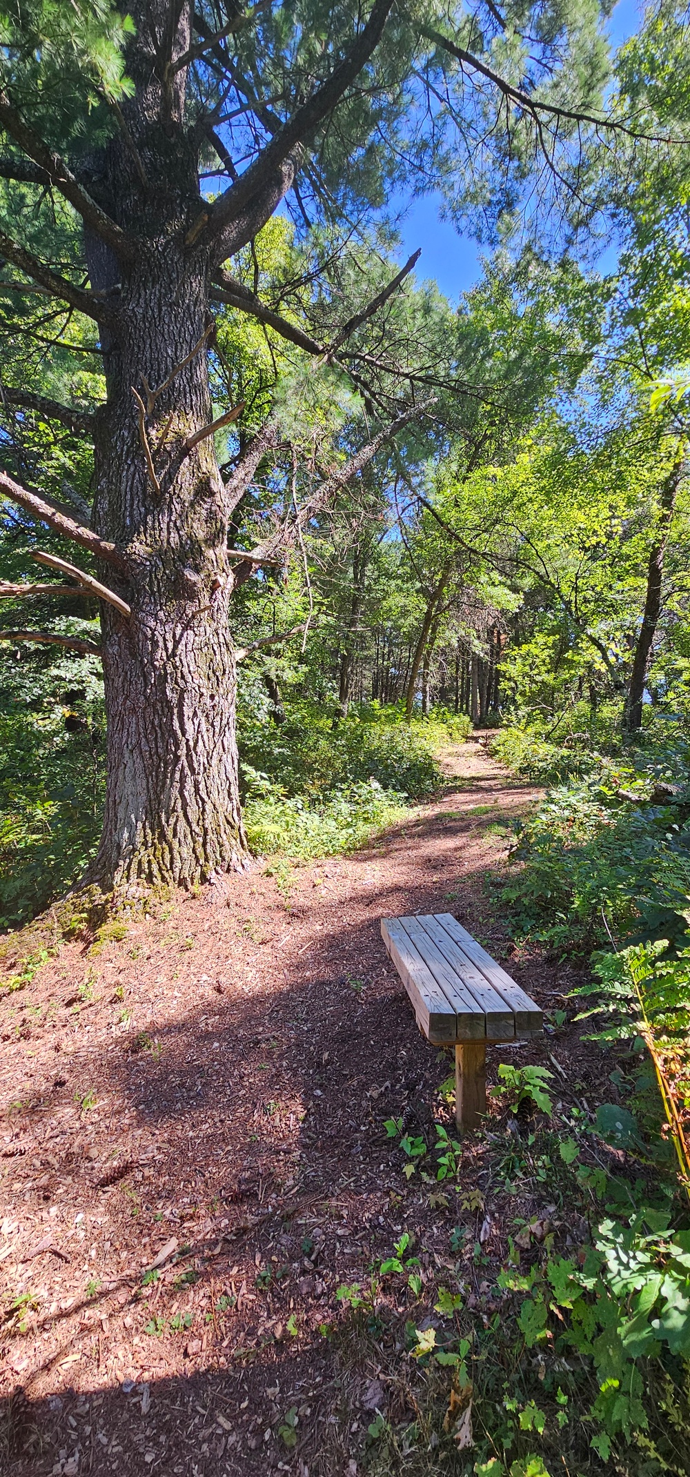 Fort McCoy's Trout Falls in Pine View Recreation Area