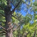 Fort McCoy's Trout Falls in Pine View Recreation Area