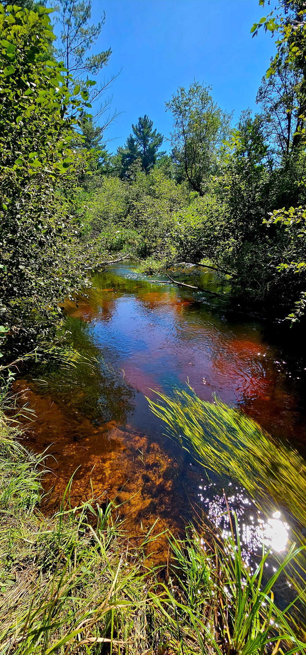 Fort McCoy's Pine View Recreation Area