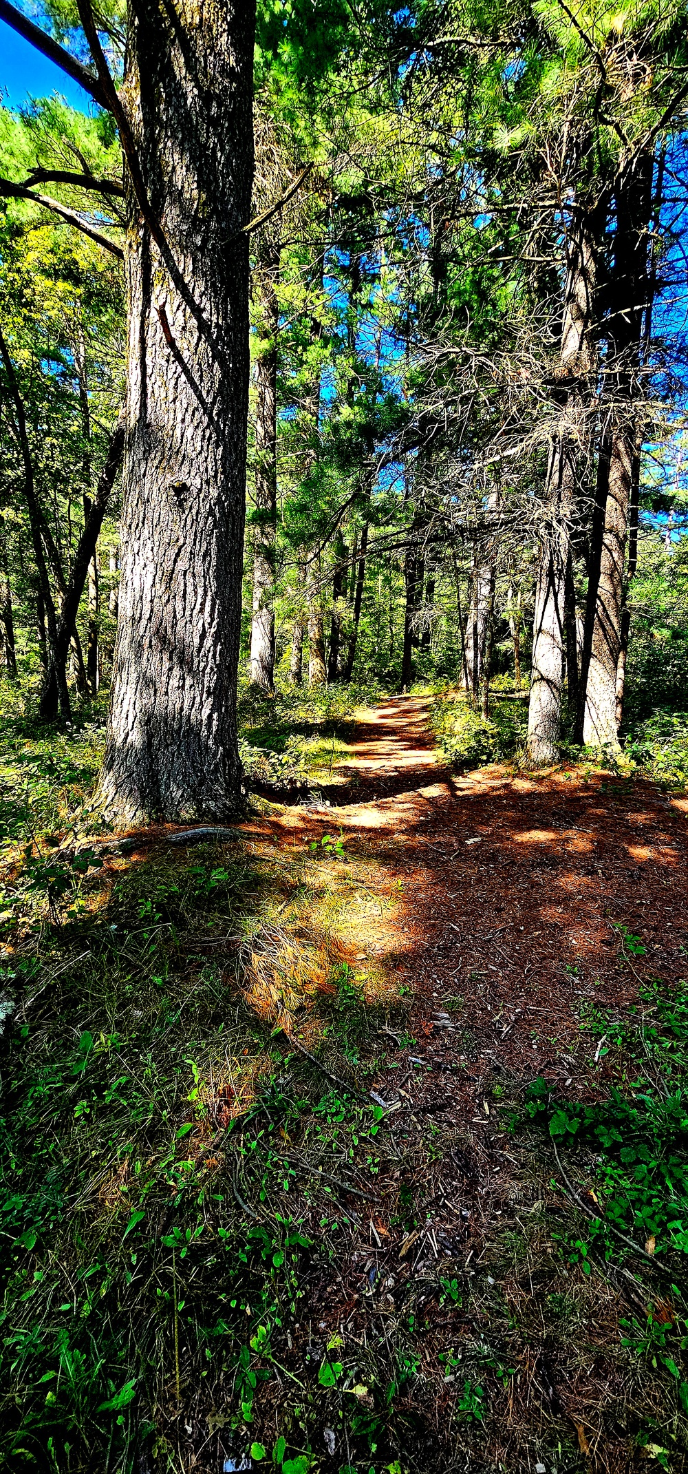 Fort McCoy's Pine View Recreation Area