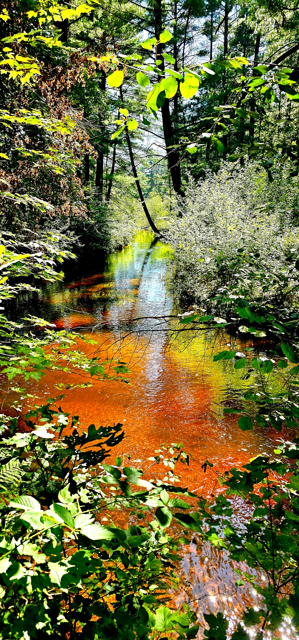 Fort McCoy's Pine View Recreation Area