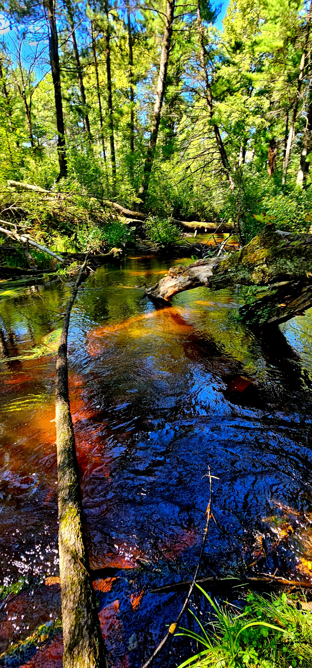 Fort McCoy's Pine View Recreation Area