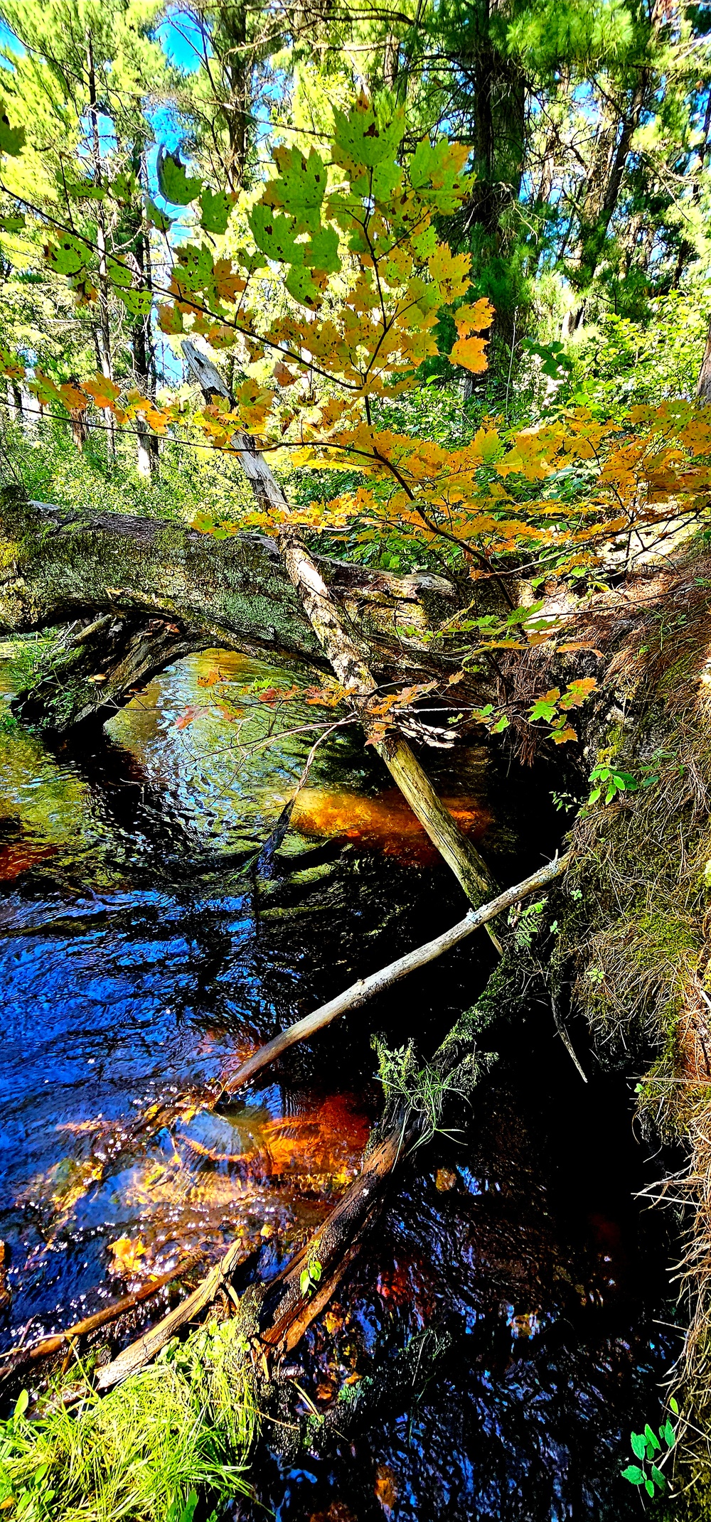 Fort McCoy's Pine View Recreation Area