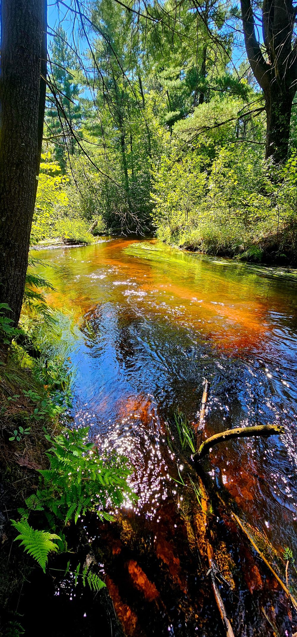 Fort McCoy's Pine View Recreation Area