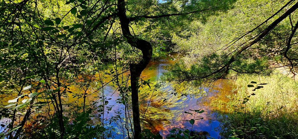 Fort McCoy's Trout Falls in Pine View Recreation Area