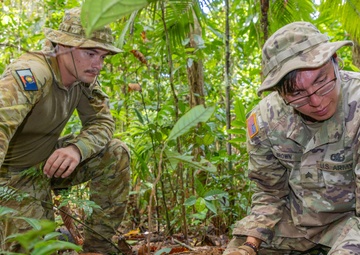 EOD team of joint service members conduct reconnaissance in Munda