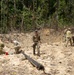 Joint multinational service members conduct demolition during operation Render Safe