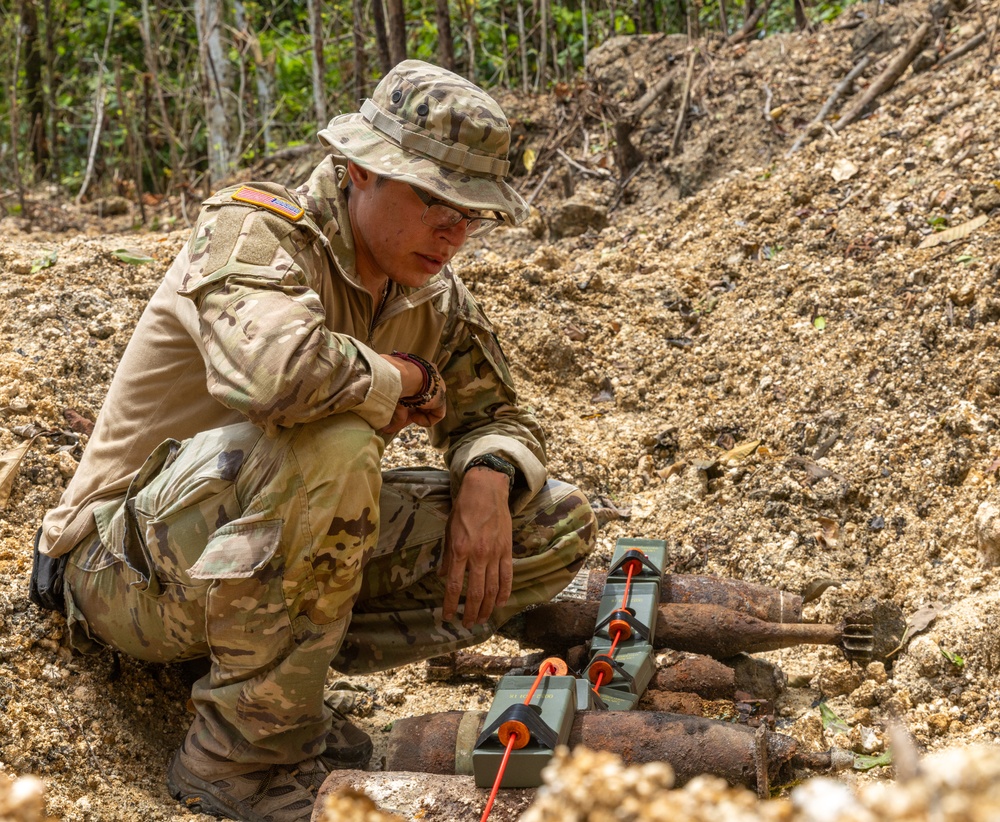 Joint multinational service members conduct demolition during operation Render Safe