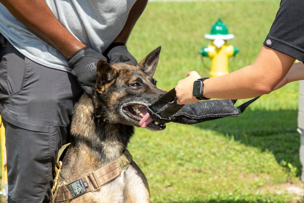 Scent Discrimination Tracking and Trailing Course