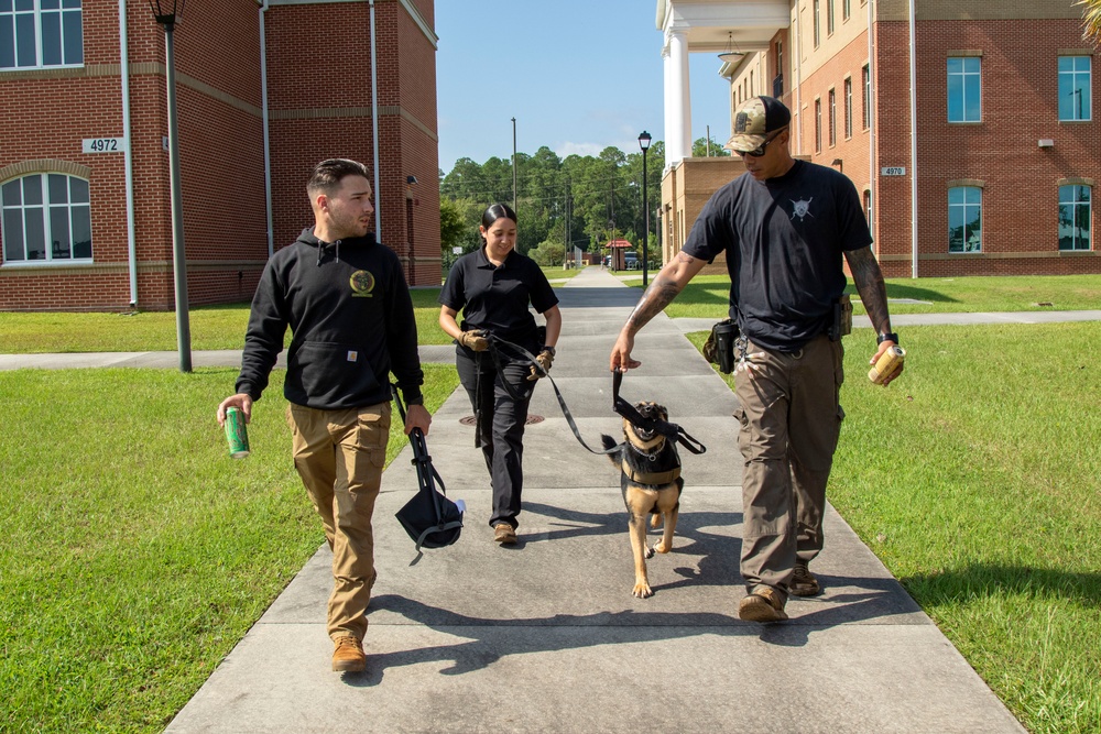 Scent Discrimination Tracking and Trailing Course