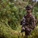 BLT 1/5 Marines, Sailors Conduct Team Leader Training in Guam