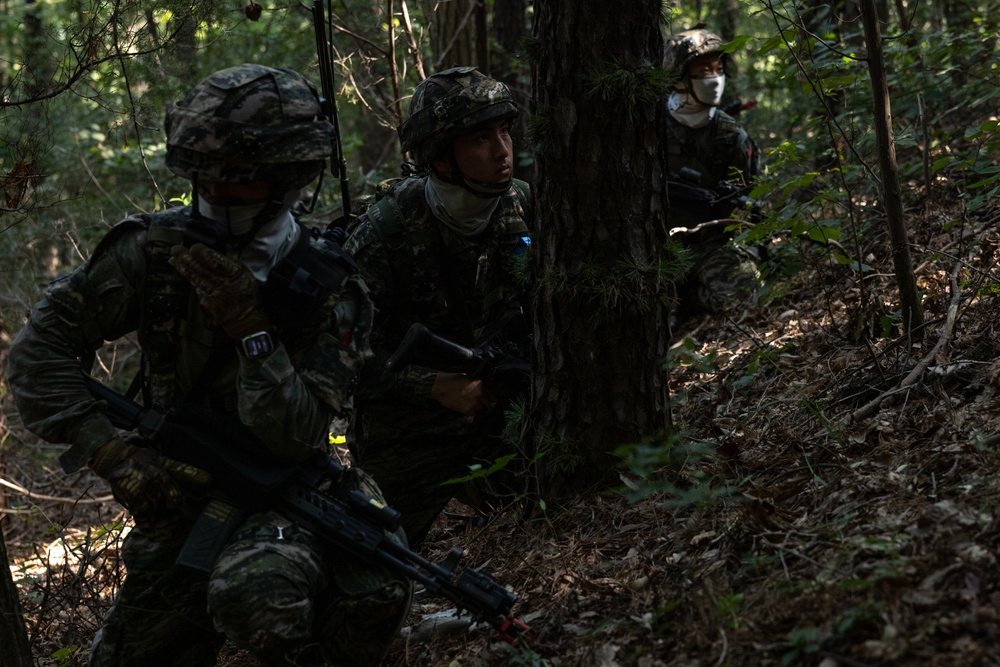 KMEP 24.2: Force-on-force