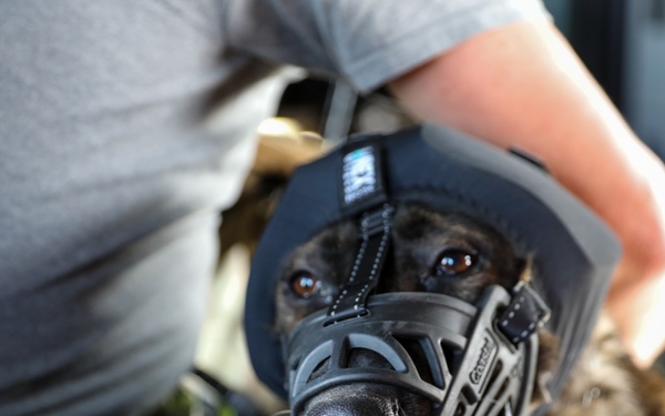 77th Aviation Teams up with Local Authorities for Search and Rescue