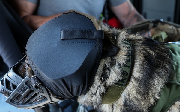 77th Aviation Teams up with Local Authorities for Search and Rescue