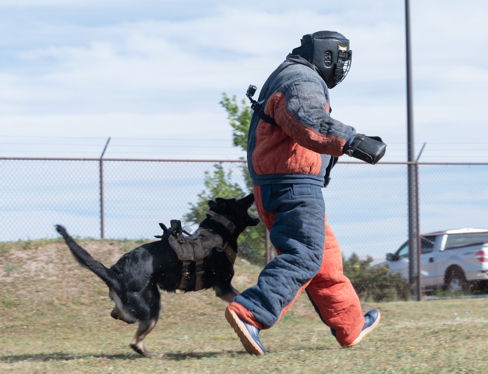 Space Base Delta 1 commander tours the kennels at Peterson Space Force Base