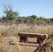 Fort Randall trail dedication honors beloved employee