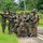 Tempest Wind 24 | 353rd Special Operations Wing air operations