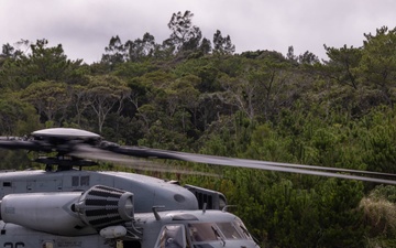 III Marine Expeditionary Force participate in a Helicopter Rope Suspension Techniques Course