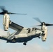 VMM-165 (Rein.) Transfer Personnel, Equipment to USS Miguel Keith