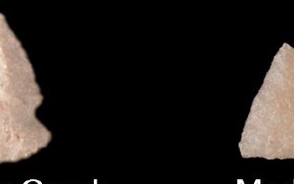 Fort McCoy ArtiFACT: Honey Creek Corner-Notched projectile points