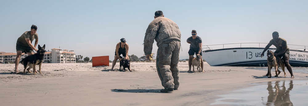 K9 Patrol Training