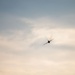 The Air Combat Command F-16 Viper Demonstration Team performs at the 2024 Sanicole International Airshow