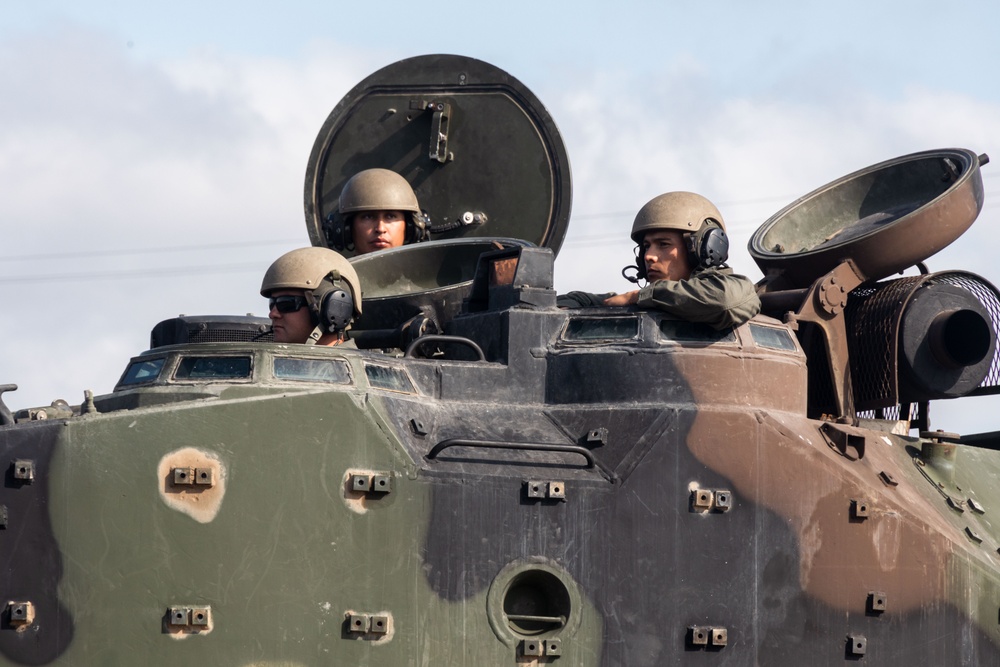 3rd AA Bn. hosts AAV sunset ceremony