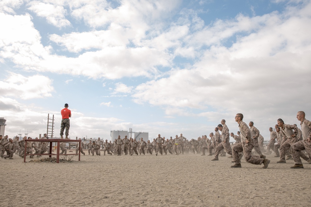 Alpha Company Combat Conditioning Course