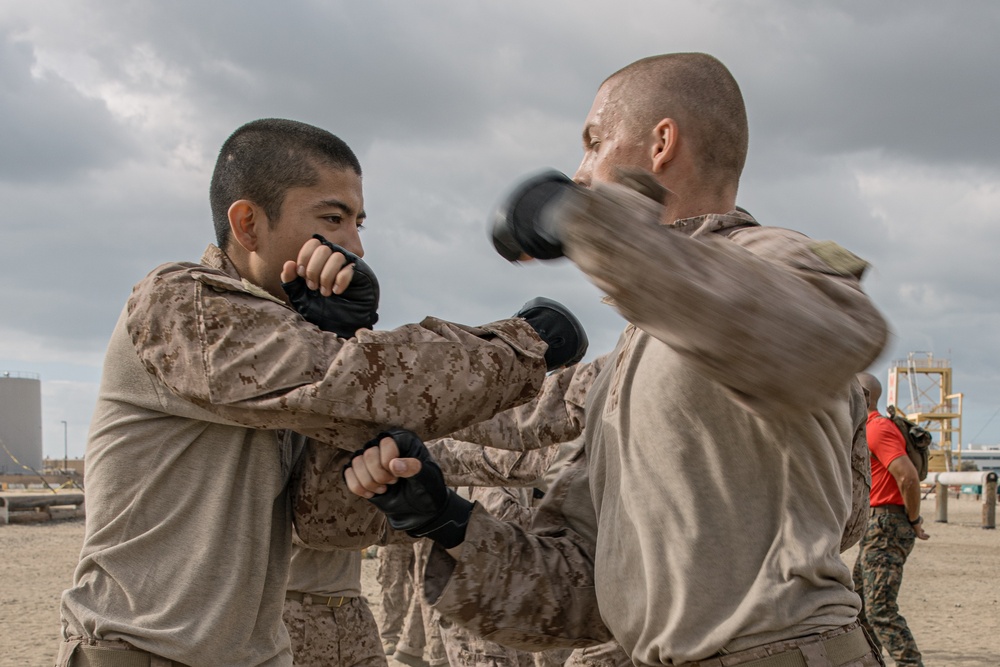 Alpha Company Combat Conditioning Course