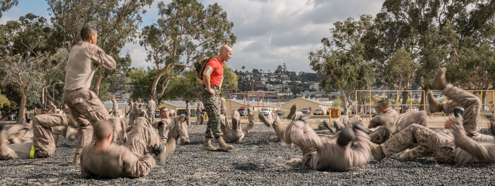 Alpha Company Combat Conditioning Course