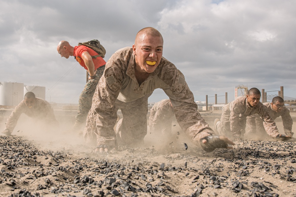 Alpha Company Combat Conditioning Course