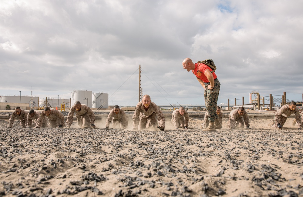 Alpha Company Combat Conditioning Course