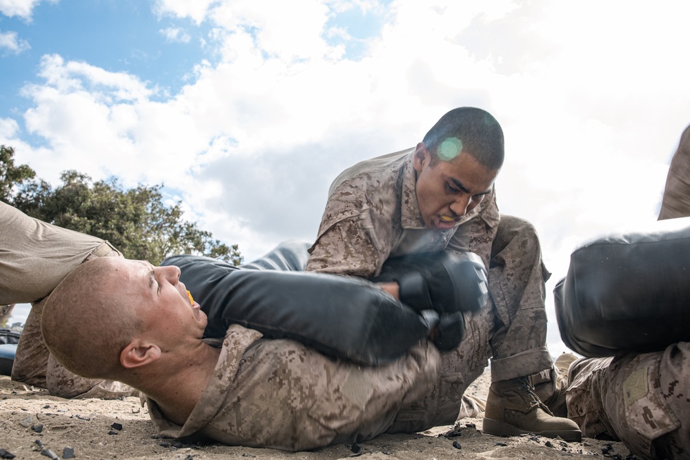 Alpha Company Combat Conditioning Course