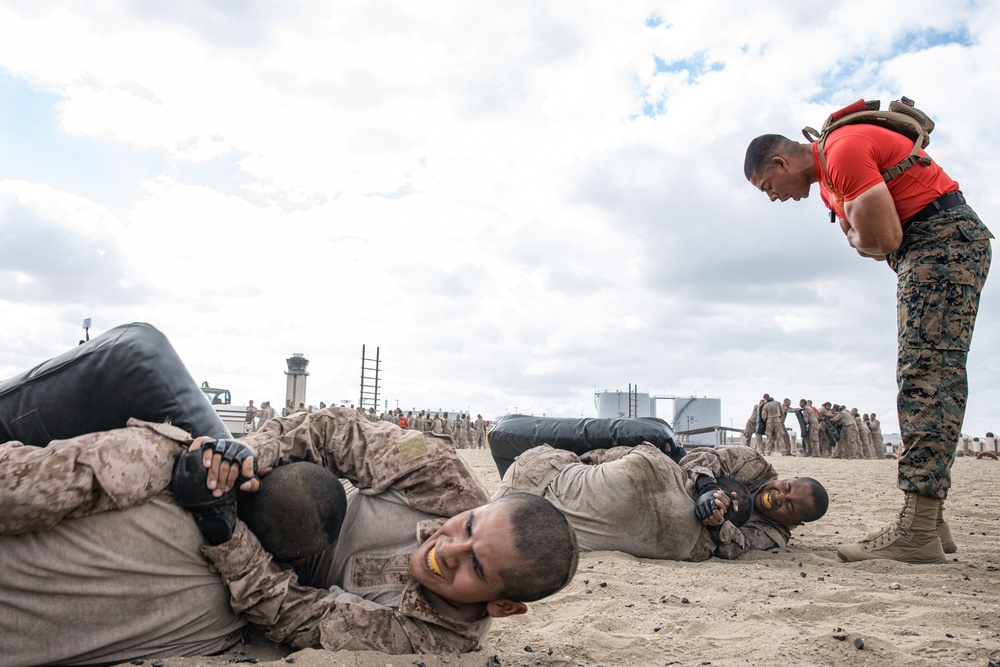 Alpha Company Combat Conditioning Course