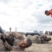 Alpha Company Combat Conditioning Course