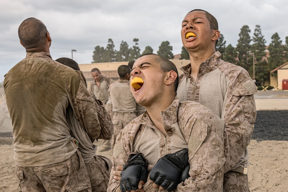 Alpha Company Combat Conditioning Course