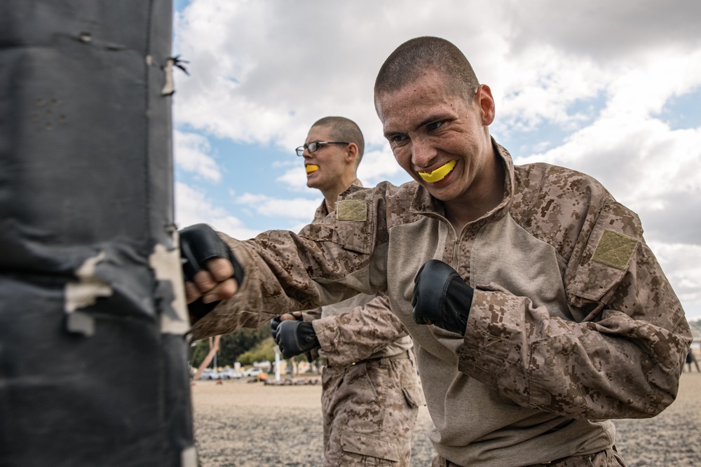 Alpha Company Combat Conditioning Course