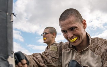 Alpha Company Combat Conditioning Course