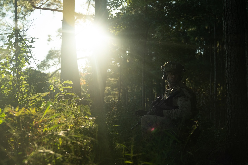 2nd ANGLICO and NATO Allies Conduct Onboarding Drills During Burmese Chase 24