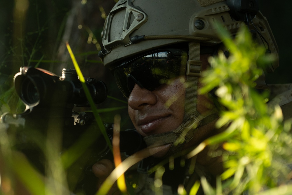 2nd ANGLICO and NATO Allies Conduct Onboarding Drills During Burmese Chase 24